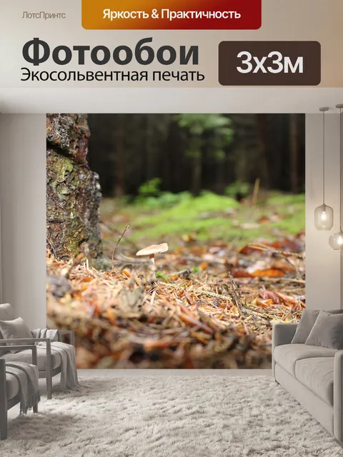 Фотообои Гриб