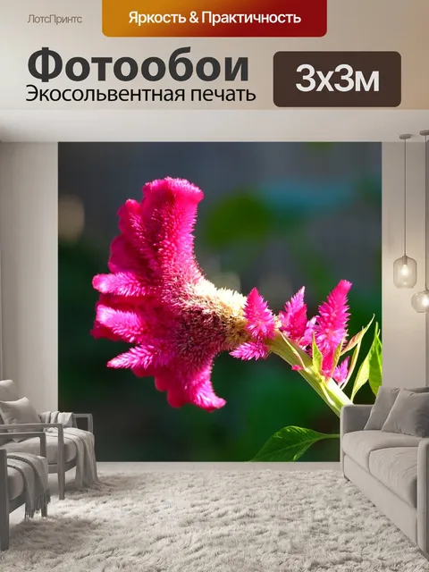 Фотообои Цветок