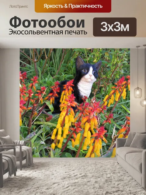 Фотообои Кошка