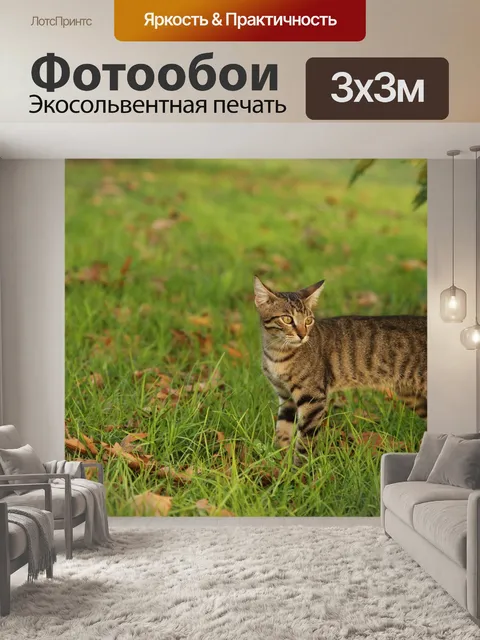Фотообои Кошка