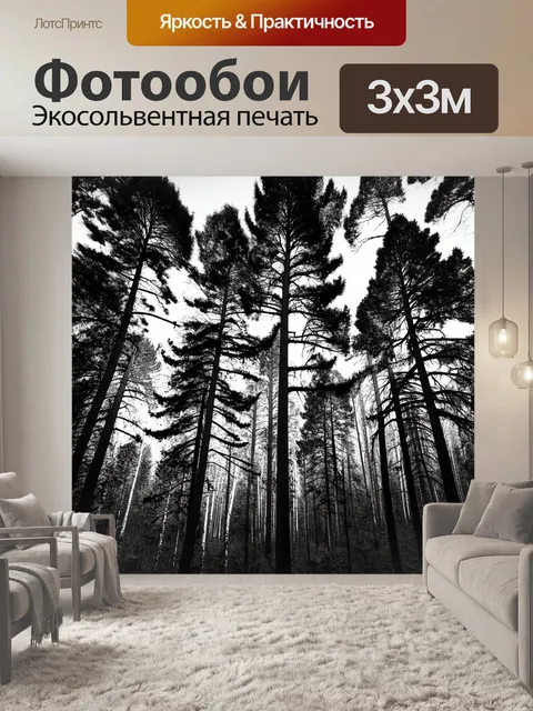 Фотообои загадочные лесные просторы, где сороки сопровождают высокие сосны