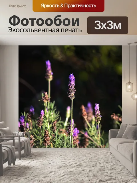 Фотообои фиолетовый цветок лаванды на стебле