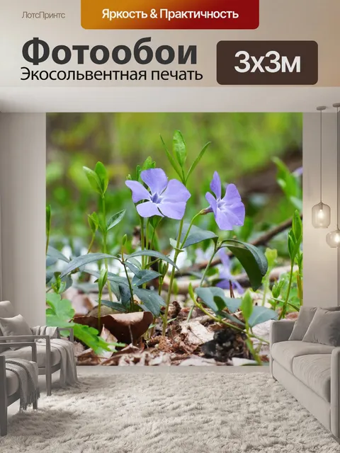 Фотообои Лес