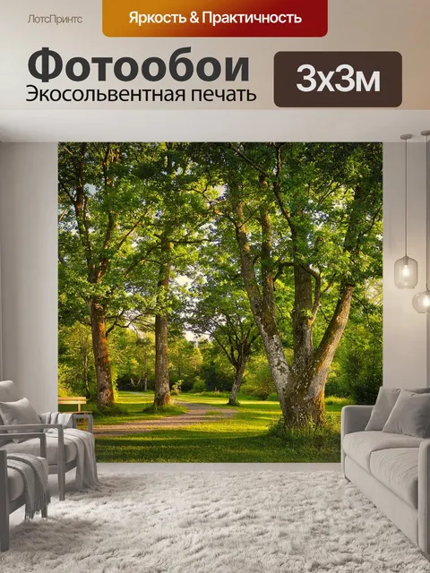 Фотообои Лес