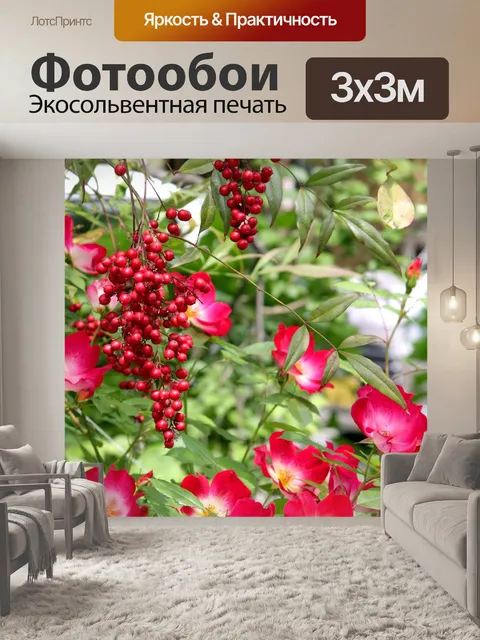 Фотообои Цветы