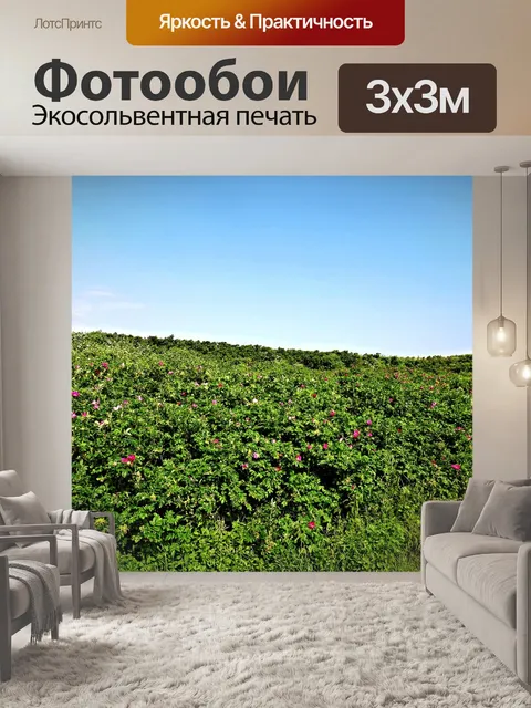 Фотообои Розы