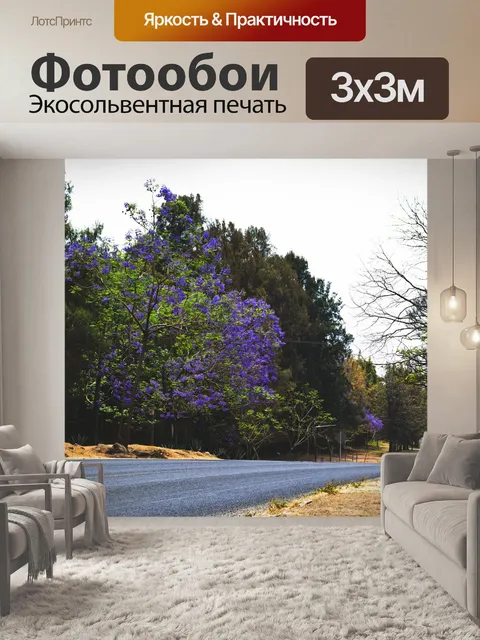 Фотообои Дорога