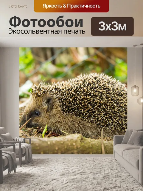 Фотообои Ежик