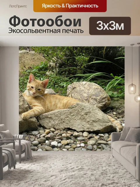 Фотообои Похмелье