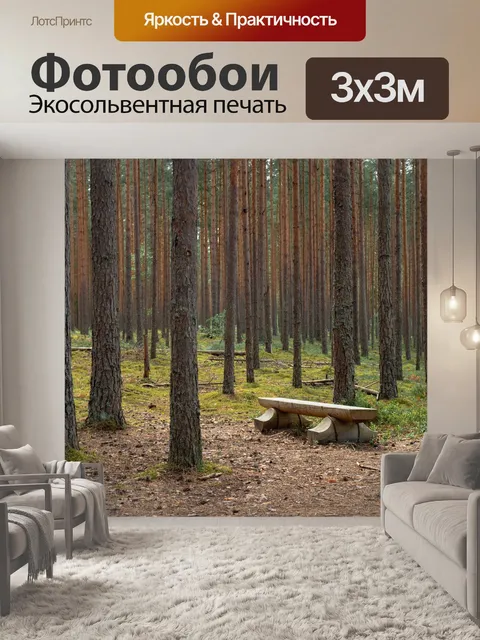 Фотообои Лес