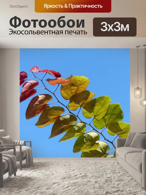 Фотообои Разноцветные листья на палочке