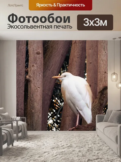 Фотообои Цапля