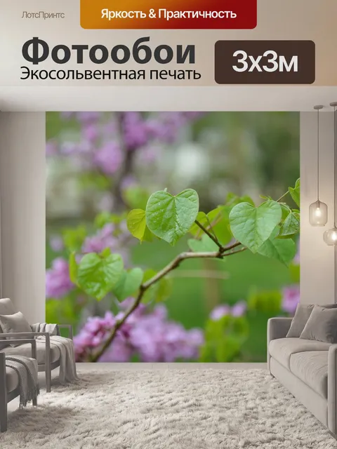 Фотообои Китайские красные бутоны