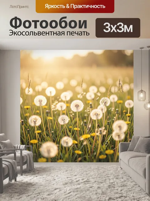Фотообои Луговые одуванчики на закате