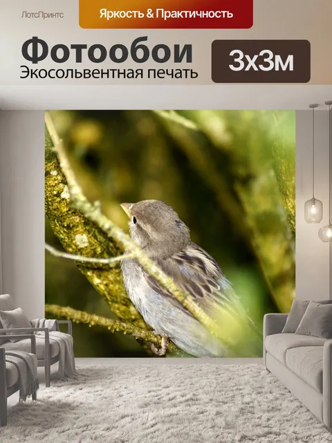 Фотообои Птица