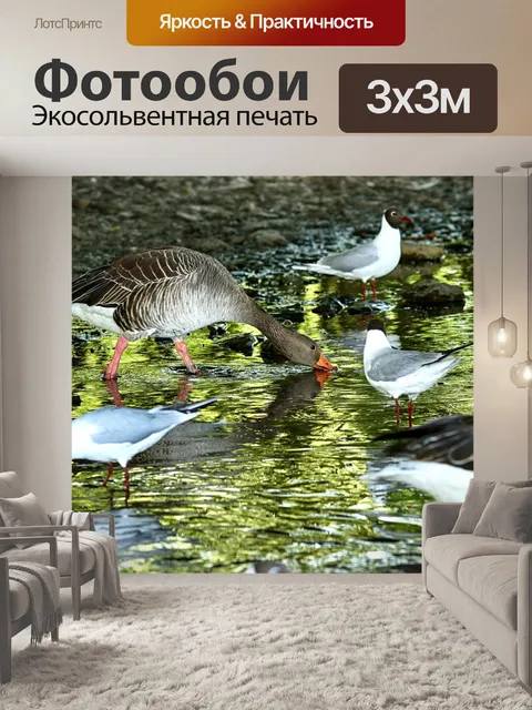 Фотообои Птица