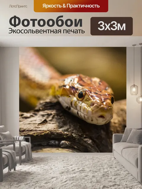 Фотообои Линия