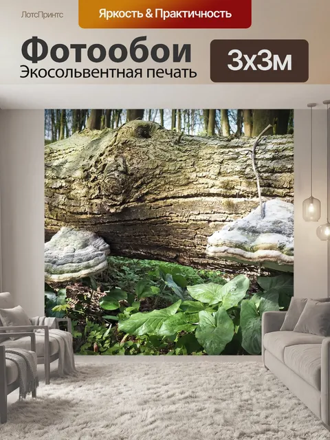 Фотообои Лес