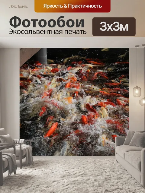 Фотообои Koi