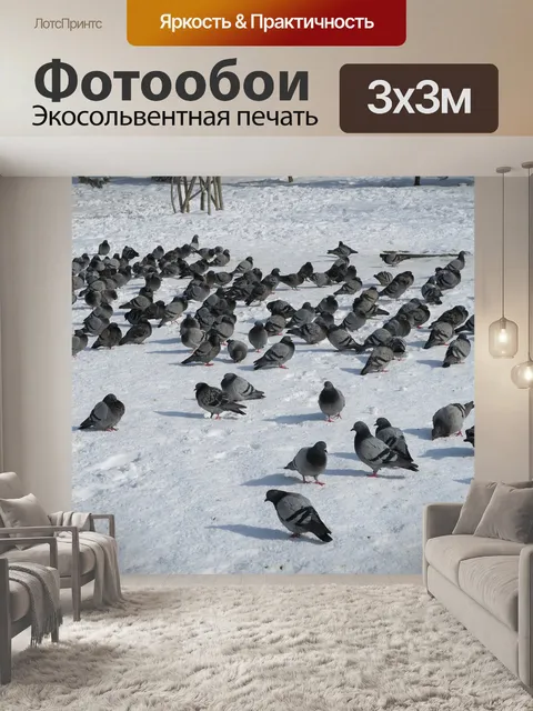 Фотообои Птицы