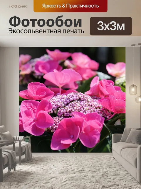 Фотообои Гортензии