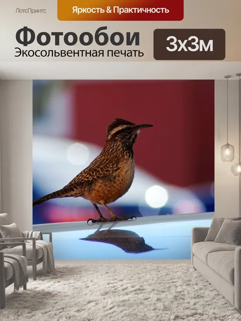 Фотообои Кактус крапивник