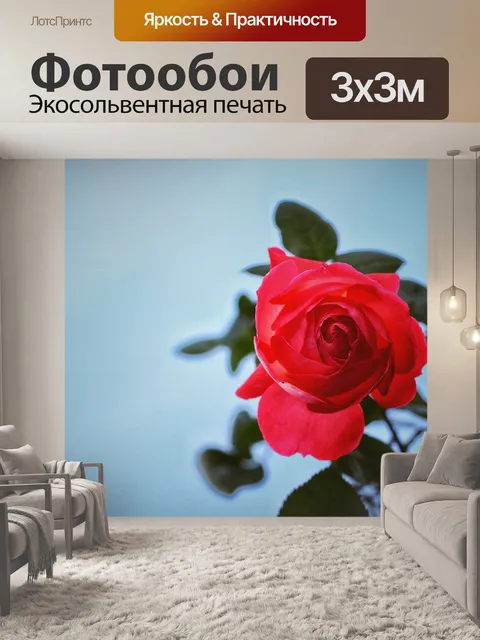 Фотообои Макрос