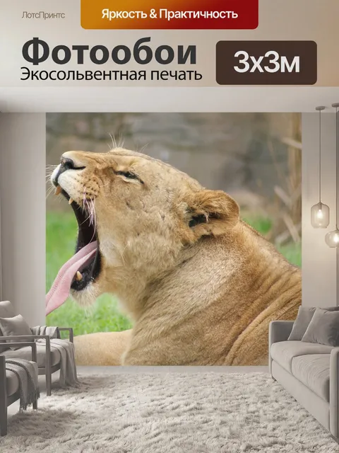Фотообои Львица