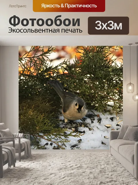 Фотообои Хохлатая синица в снегу