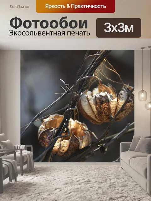 Фотообои Фрукты
