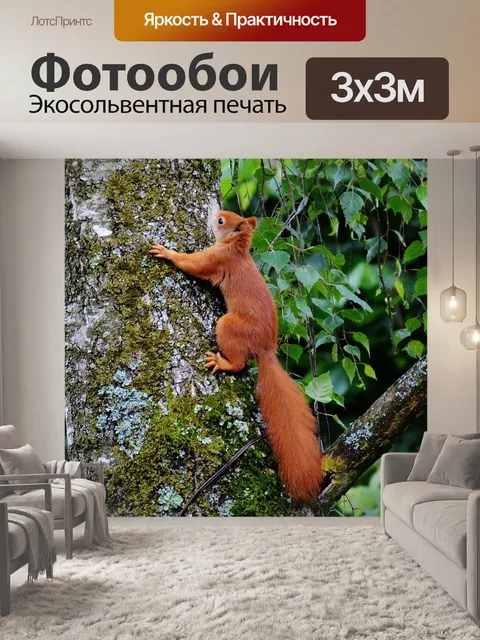 Фотообои Белка
