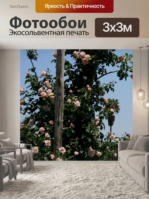 Фотообои Роза