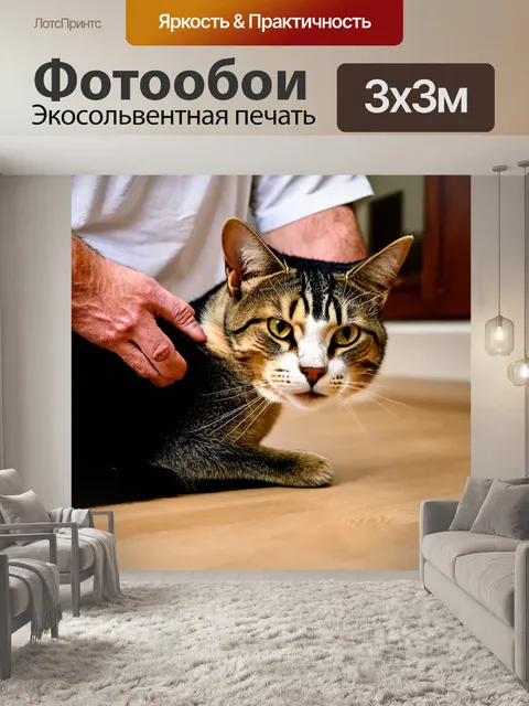 Фотообои кот, лащится к своему хозяину, когда он приходит домой