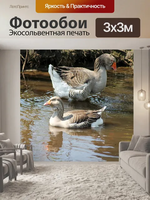 Фотообои Гуси