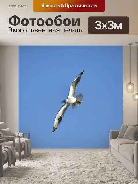 Фотообои Птицы