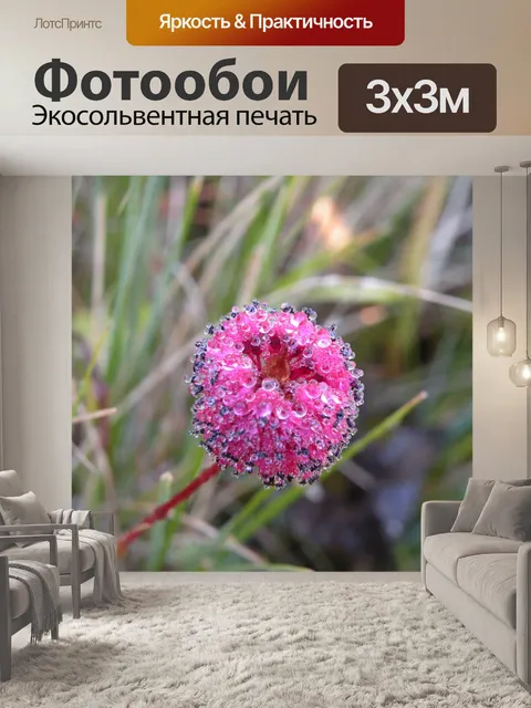 Фотообои Розовый