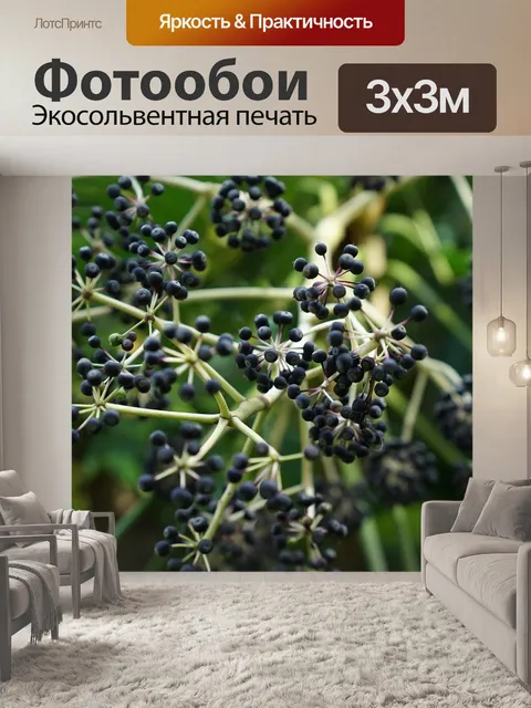 Фотообои Ягоды