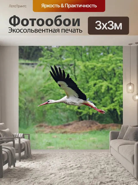 Фотообои Аист