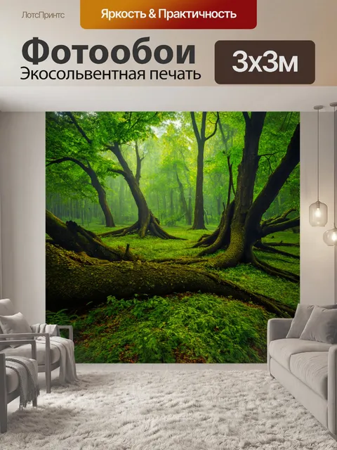 Фотообои мистический лес с древними деревьями