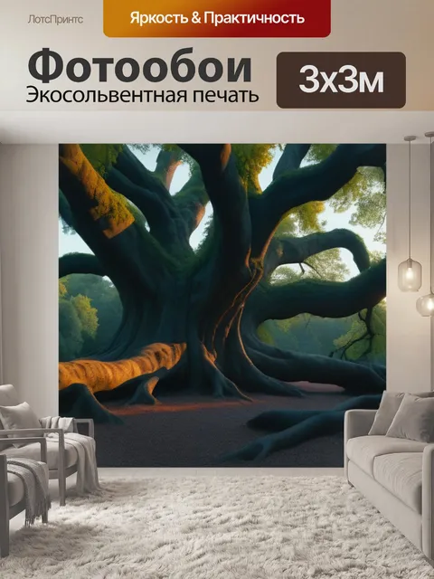 Фотообои закатное освещение на старых лиственных деревьях