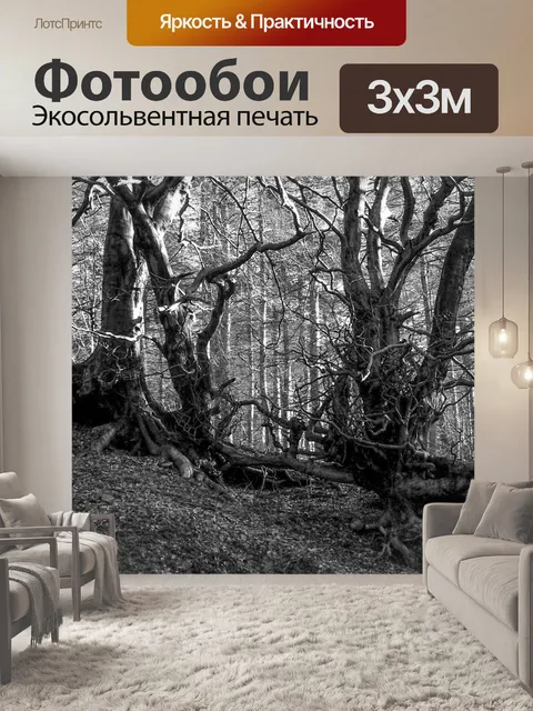 Фотообои Лесной Blaenavon