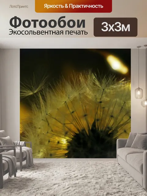 Фотообои Одуванчик