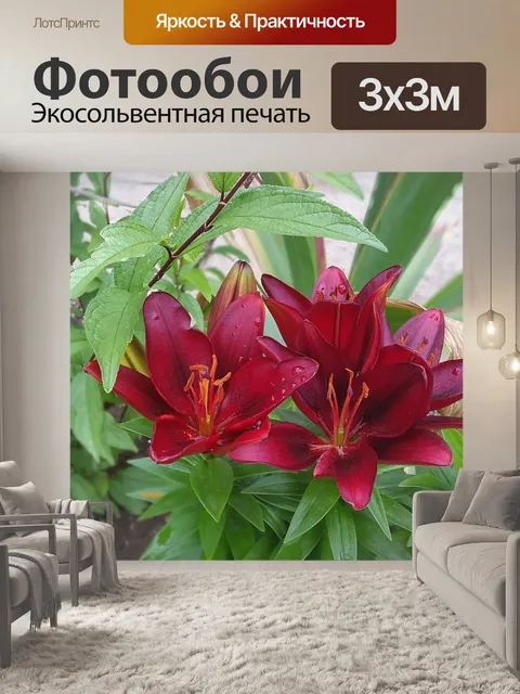 Фотообои Лилии