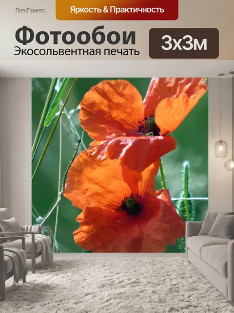 Фотообои Цветы