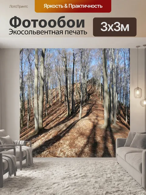Фотообои Лес