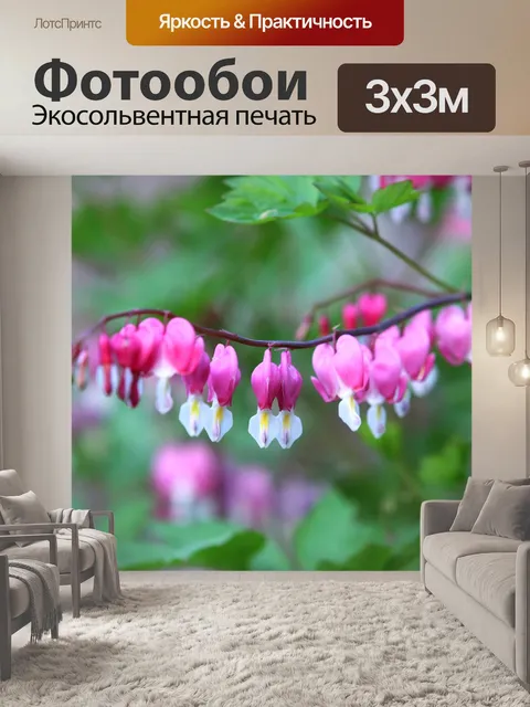 Фотообои Золотые фонарики цветок