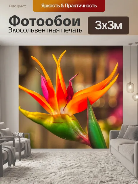 Фотообои Цветок