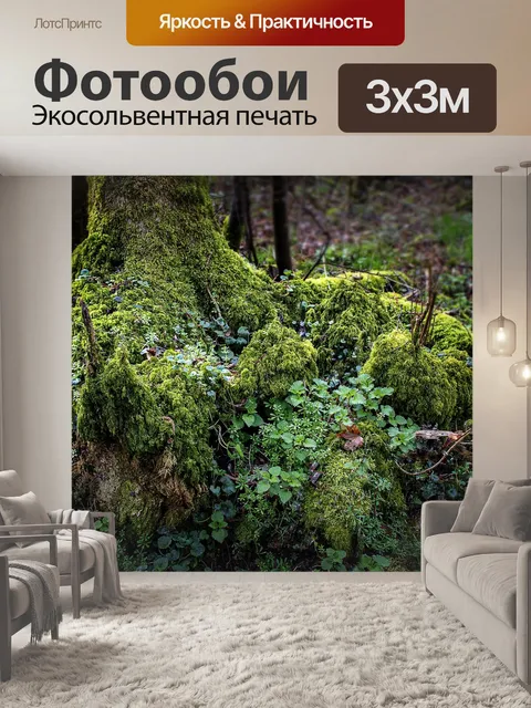 Фотообои Лес