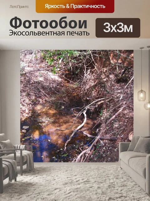 Фотообои узкий ручей с голубым отражением