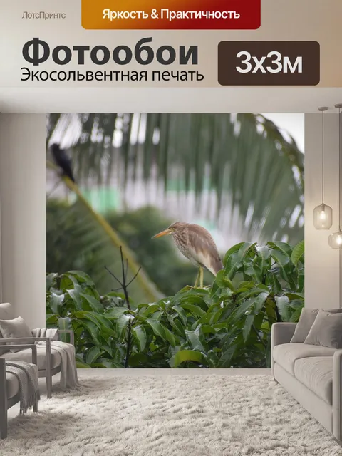 Фотообои Животное